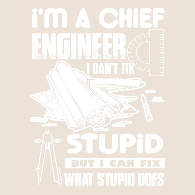 Chief Engineer I Cannot Fix Stupid
