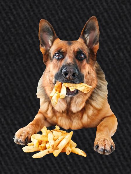 Deutscher Schäferhund