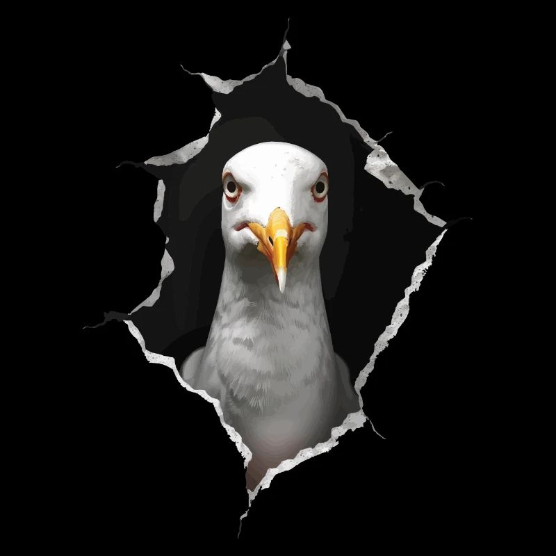 Möwe