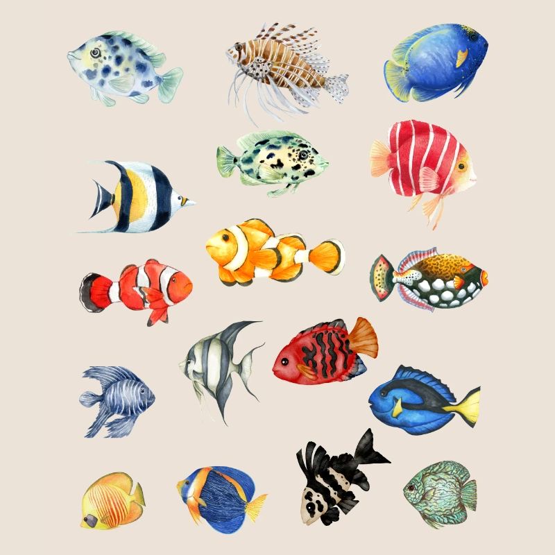 Fish Collection.Poisson coloré dans un style exotique