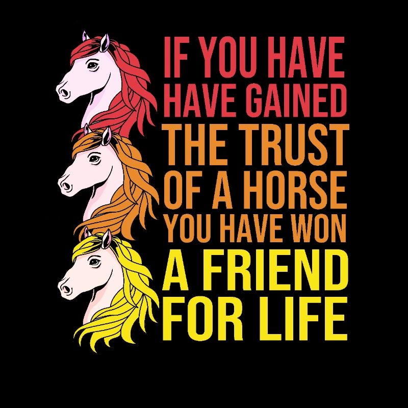 Springreiten Springpferd