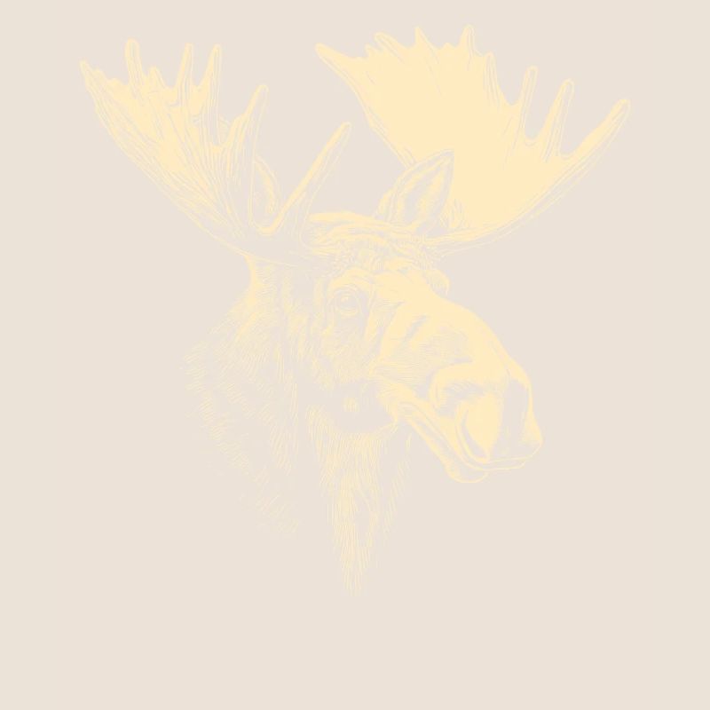 Elch Moose Elchbulle Geweih Hirsch Wilde Elche