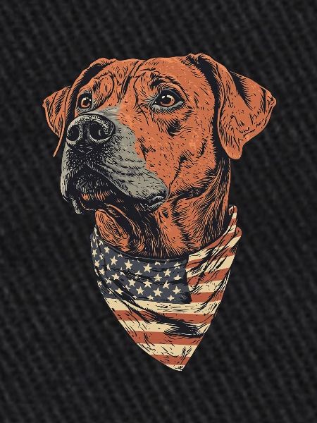 Rhodesian Ridgeback