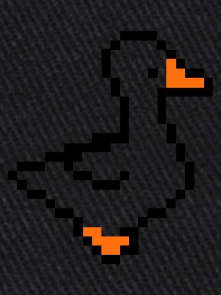 Canard pixel