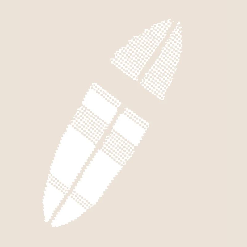 planche de surf Pixel Graphic