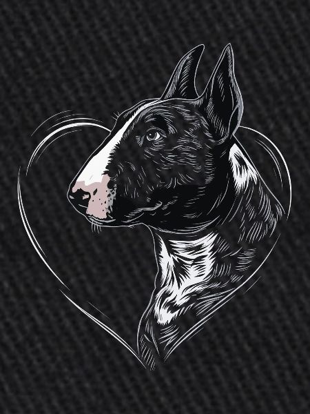 Bullterrier