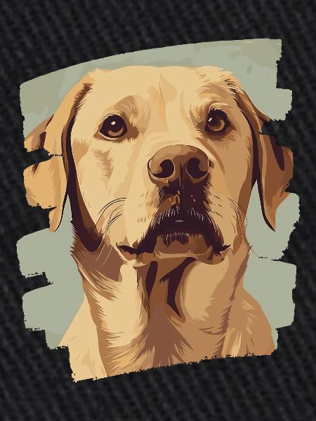 Labrador