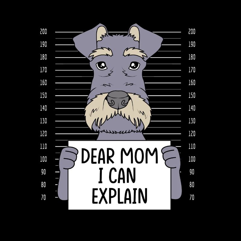 Schnauzer nain