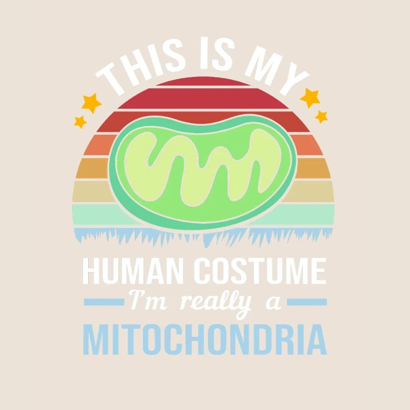 Formule structurelle de la molécule