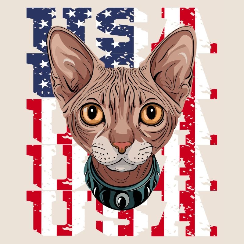 USA Chat Sphynx devant le drapeau