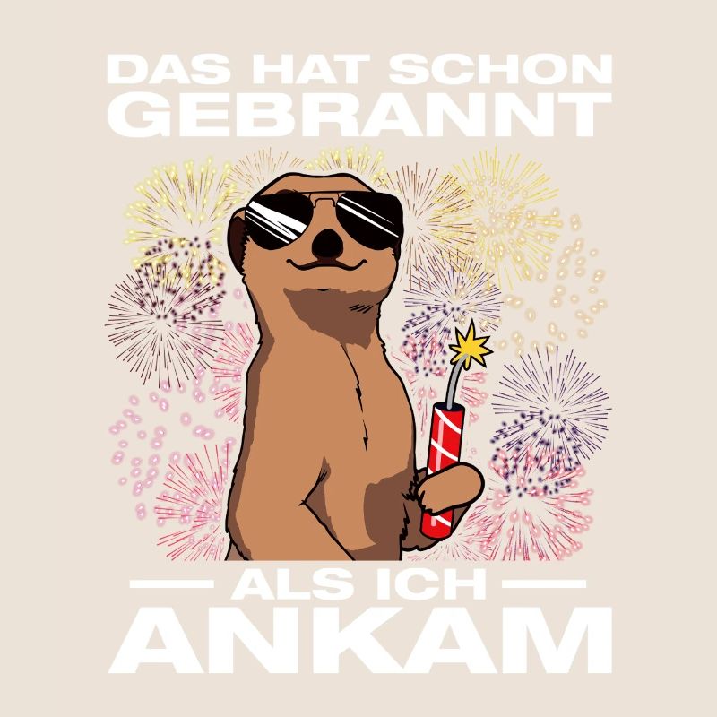 Has already burned, pyrotechnicians, fireworks, fireworks