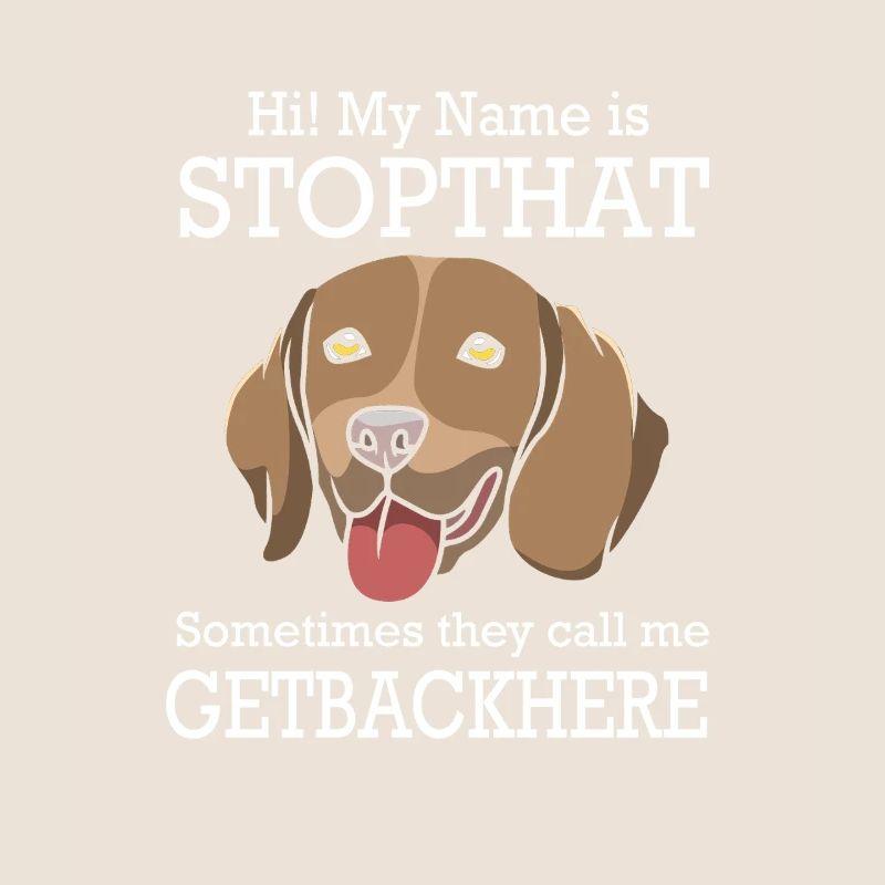 Deutsch Kurzhaar Hund German Pointer