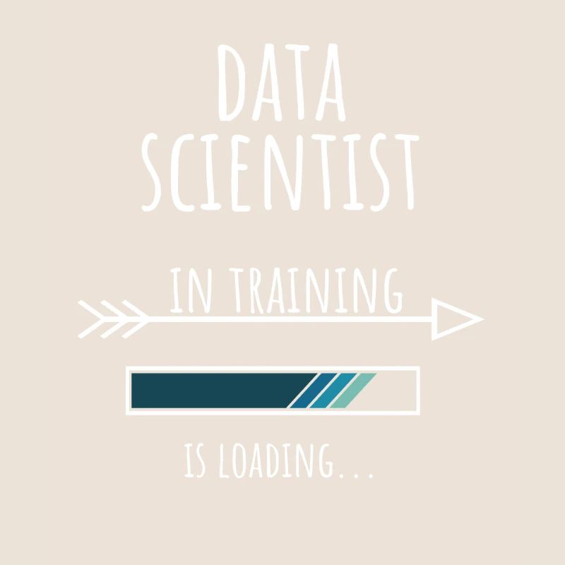 Data Scientist Geschenk Beruf Ausbildung