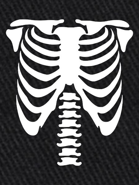 Skeleton Torso