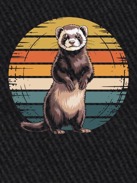 Furet