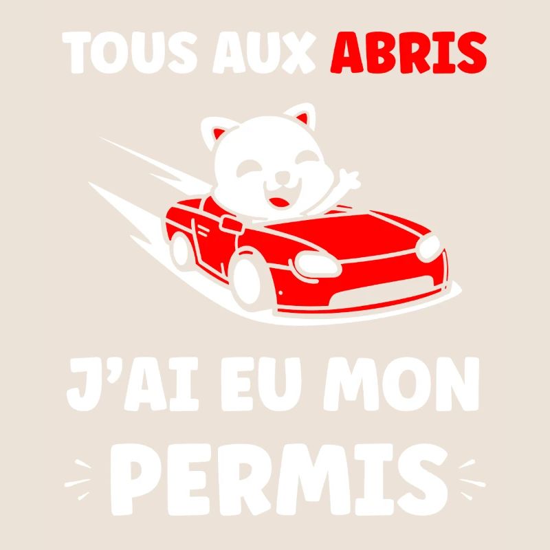 Panda in Red Cabrio Allowed