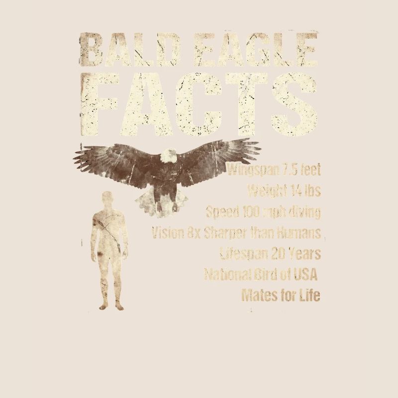 Bald Eagle Facts Bald Eagle Info