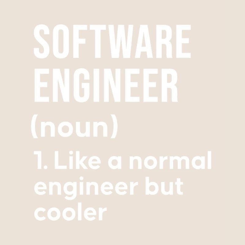 Software Engineer Spruch Shirt