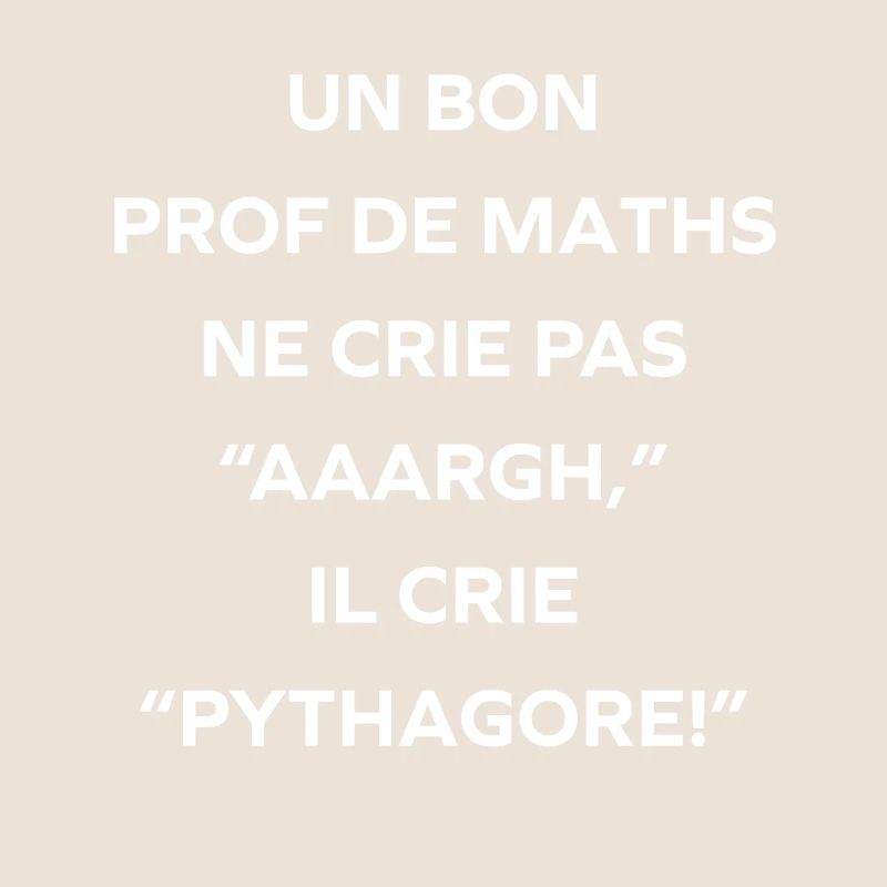 Prof de maths crie Pythagore