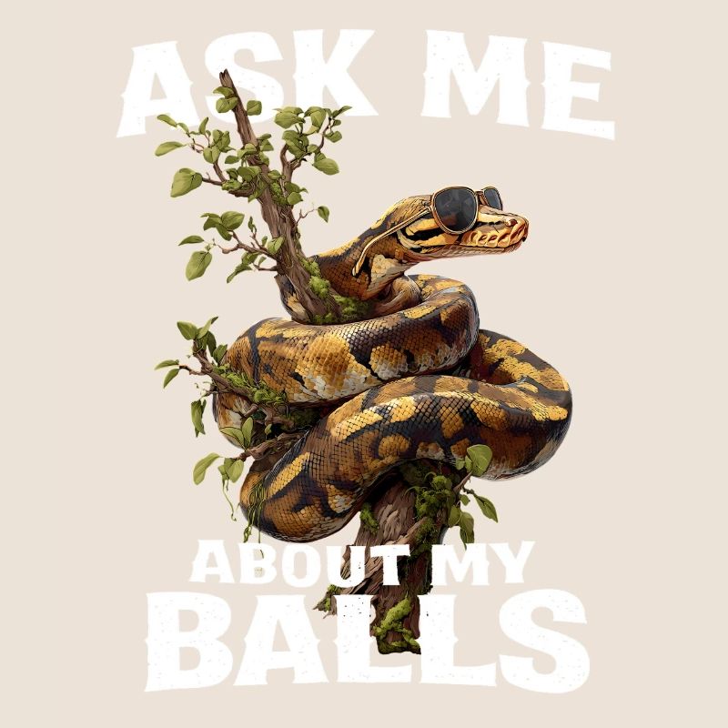 Königspython Schlangen Liebhaber Terrarium Python