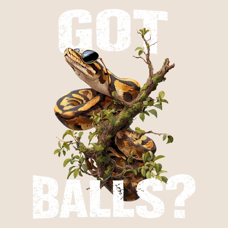 Python roi Serpents Amateurs de terrarium Python