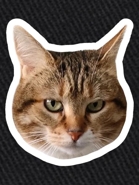 Missty sticker triste