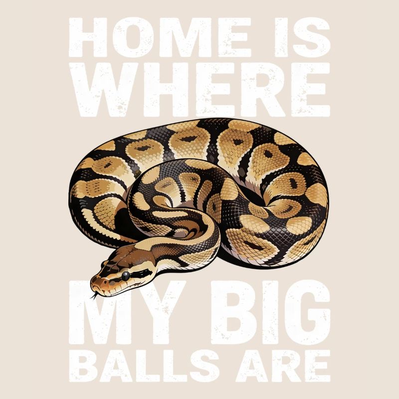 Python roi Serpents Amateurs de terrarium Python