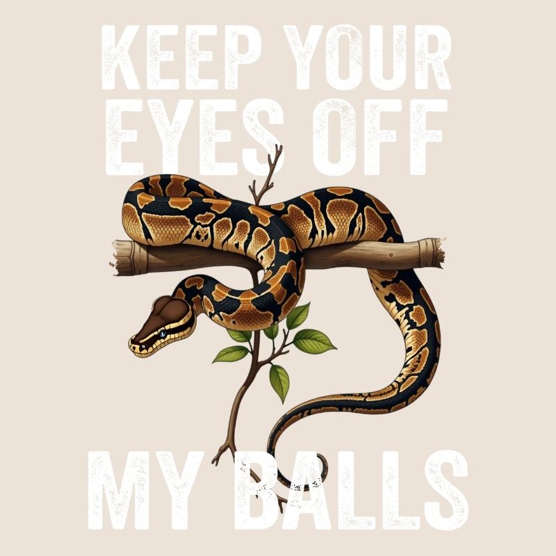 Königspython Schlangen Liebhaber Terrarium Python