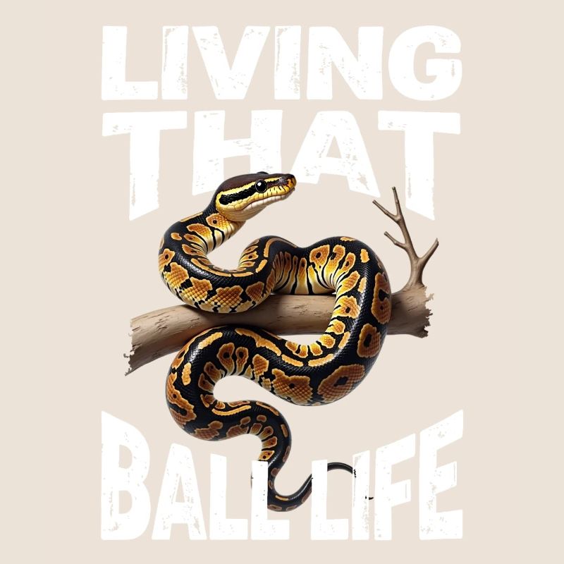 Python roi Serpents Amateurs de terrarium Python