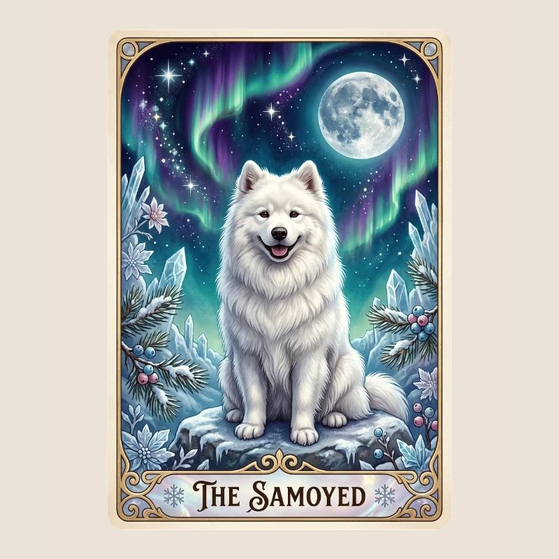 Samoyeds under the Northern Lights