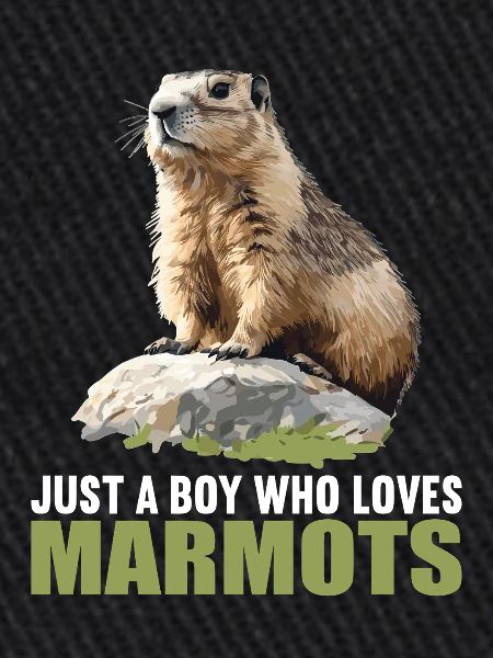Marmottes Marmotte