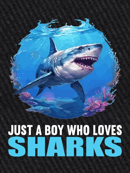 Requins Requin