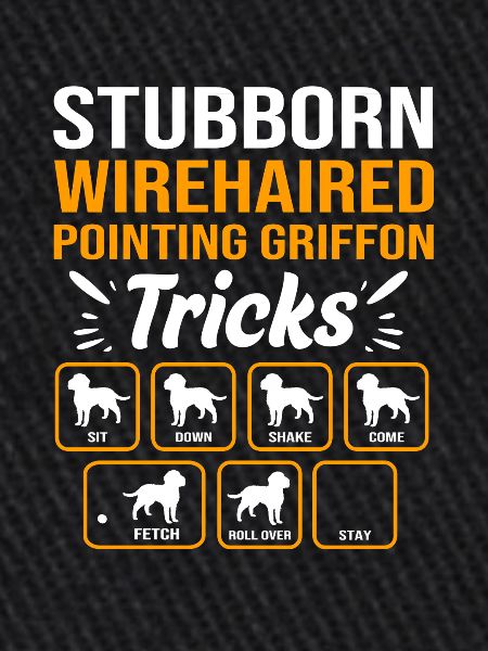 Griffon