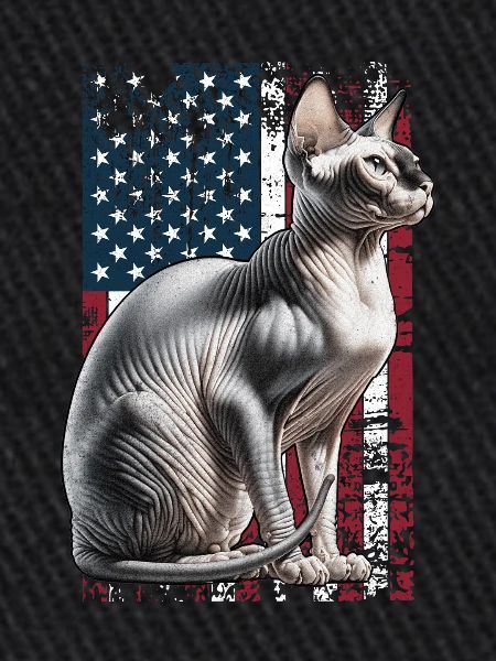 Sphynx Cat US Sphynxkatze