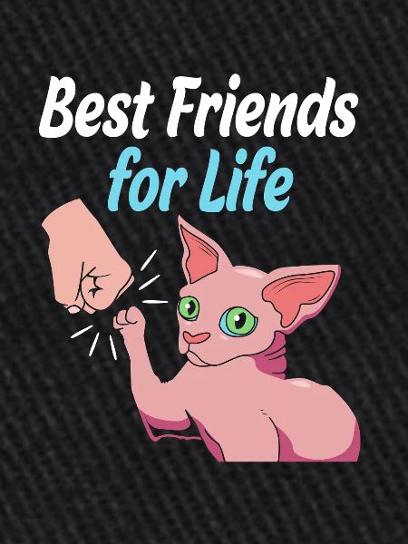 Chats Sphynx