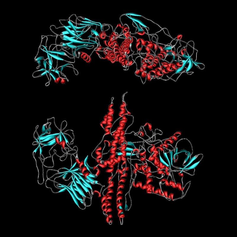 Botulinum toxin (Botox)