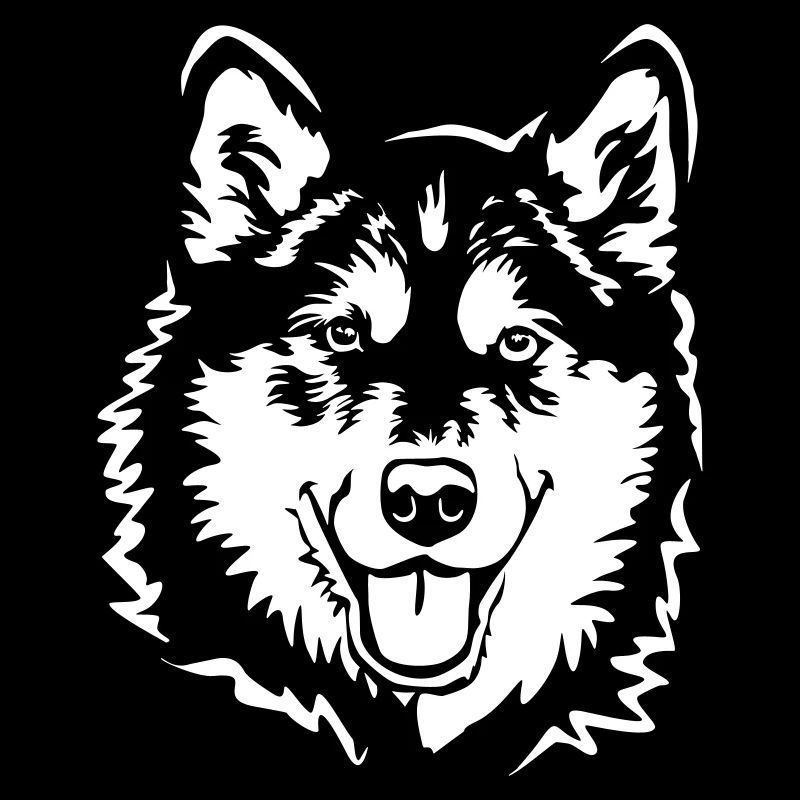 Alaskan Malamute head "Black Edition"