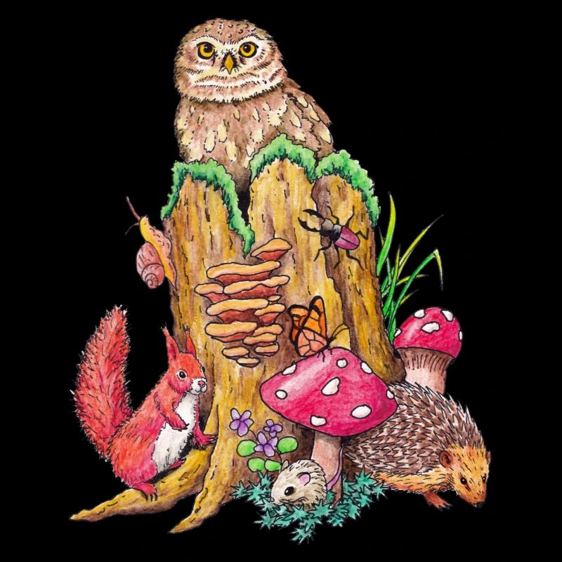 Forest animals