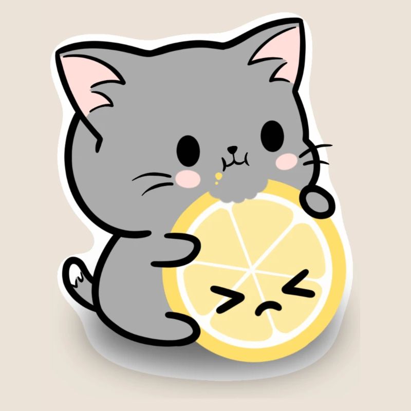 Chat citron