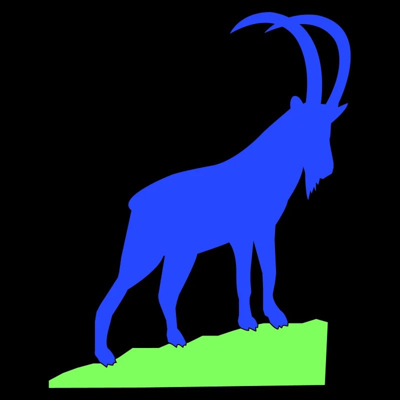 Capricorn