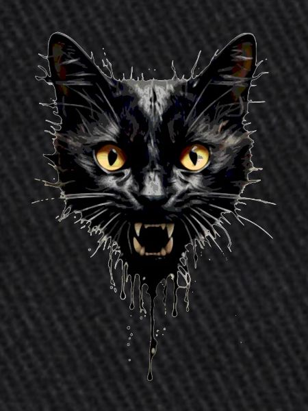 Evil Cat