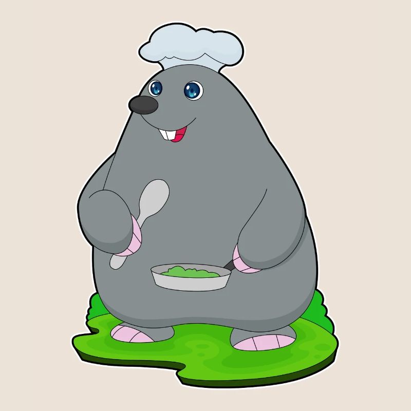 Mole Cooking Pan