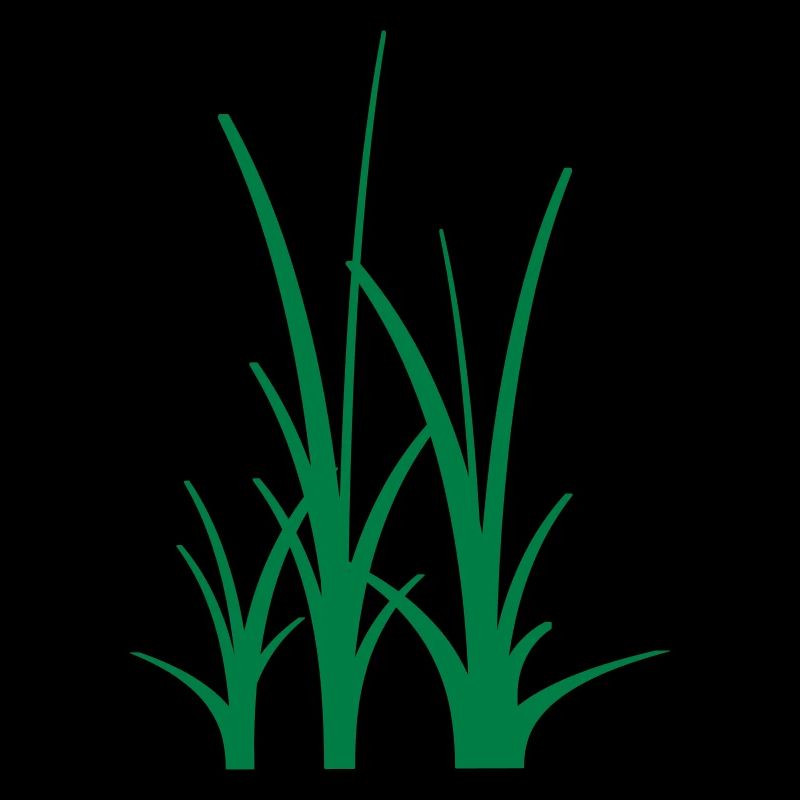 Binary Gras