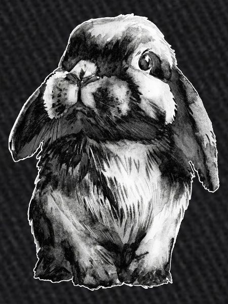 Lapin Lapin