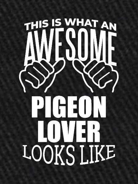 Pigeon Pigeon Pigeon