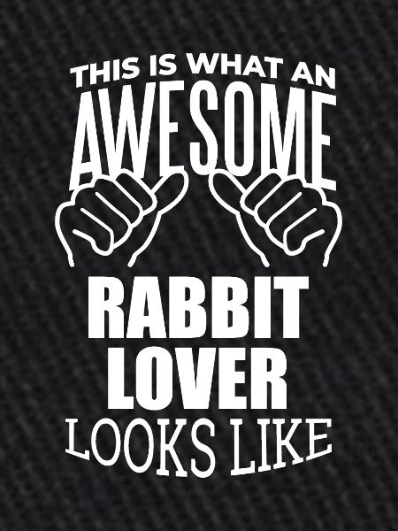 Lapin Lapin Lapin