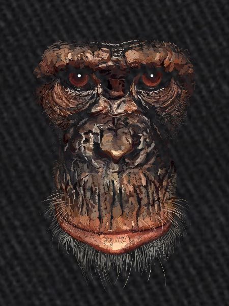 Singe