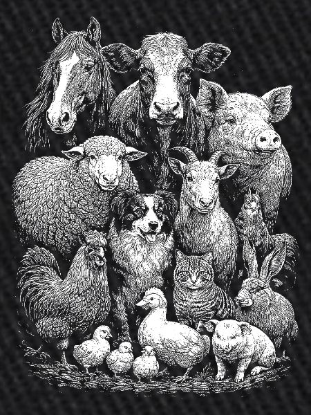 Animaux de la ferme