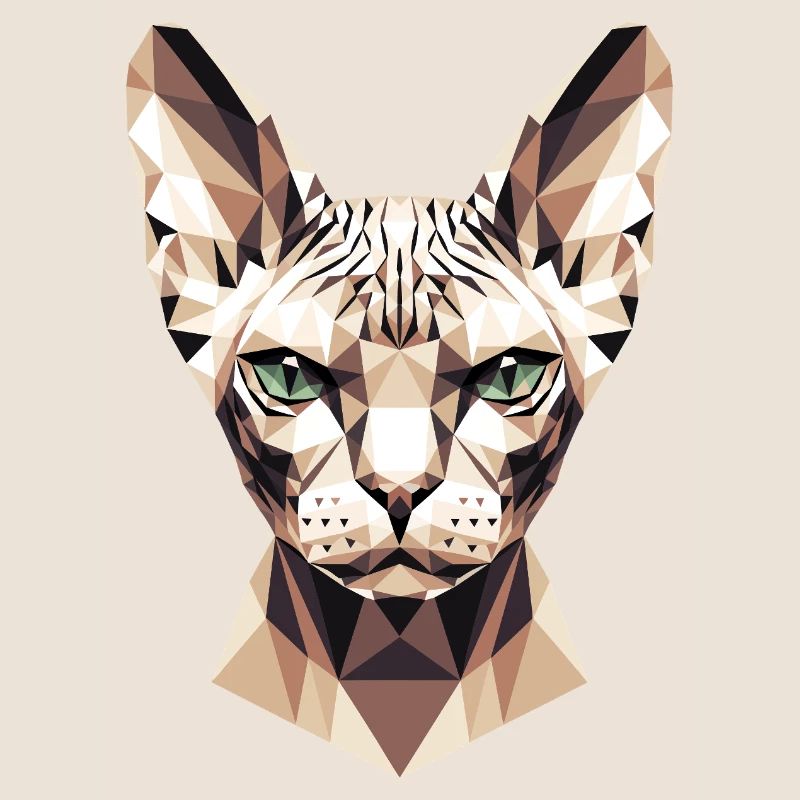 Sphynx Chat Sphynx Chat Chat Canadien Sphinx mignon