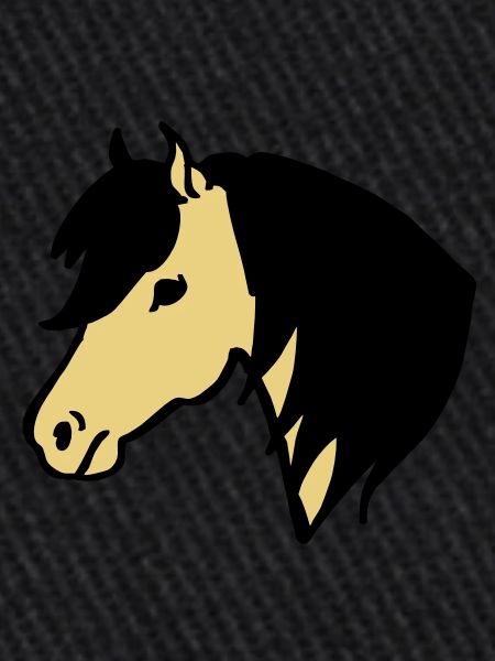 Poney